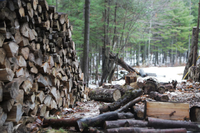 Firewood pile store