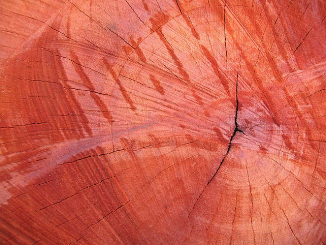 Redwood or Mahogany termite proof wood