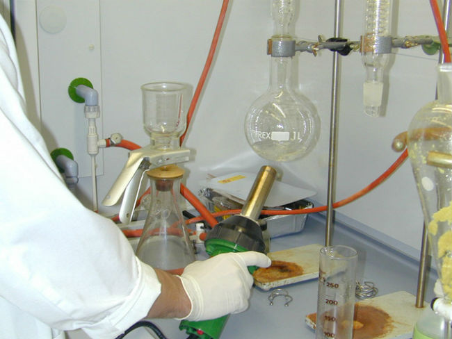 Lab research of Termidor DRY powder