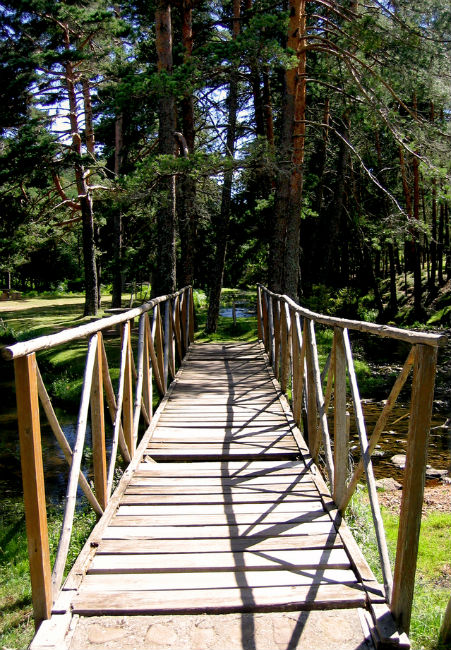 Termidor foam termicide for bridges