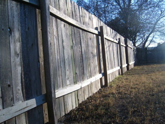 Termidor termite dust treatment for fence