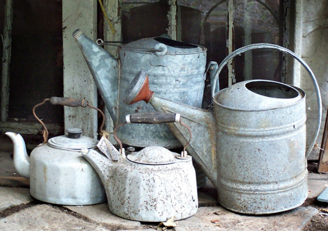 watering cans for Termidor for subterranean termites diy outdoors soil treatment