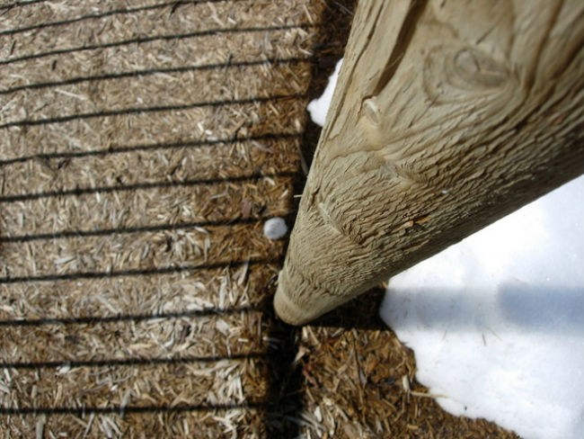 Wood pole treated with diy Termidor drywood termites