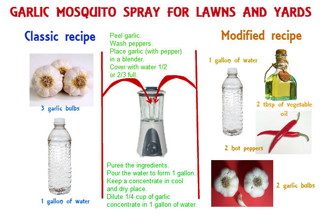 Homemade mosquito yard spray is cheap 