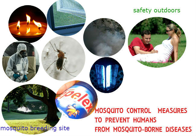 Mosquito fever prevention in Brazil