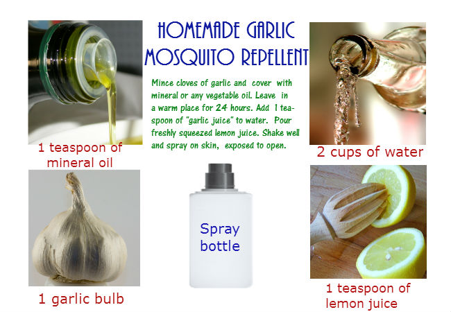 Body garlic spray for mosquitoes
