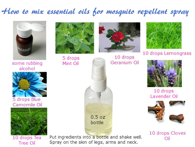 Essential oils for mosquito repellent recipes