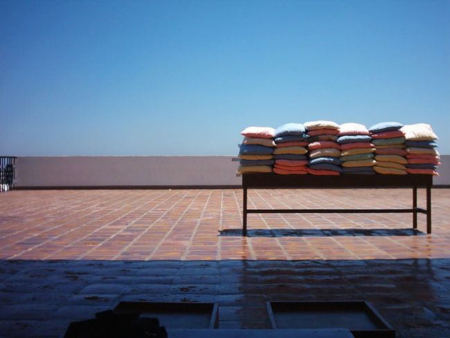 Pillows in the sun for bed bug treatment