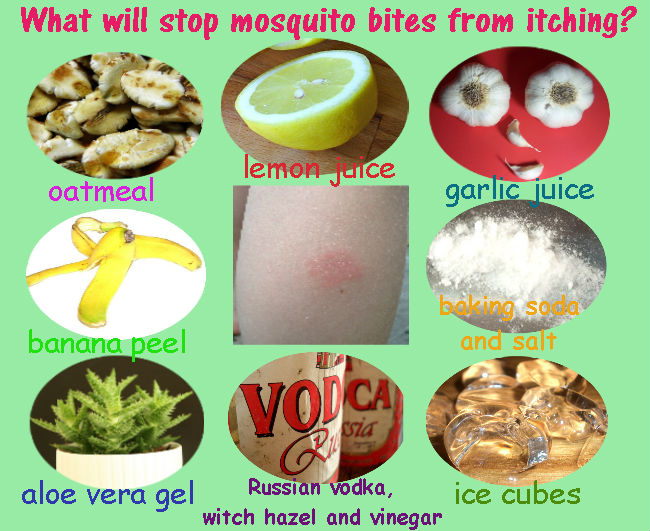 Itch Relief For Mosquito Bites And Swellings