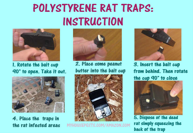 how to set mechanical rat trap
