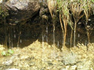 Water source for termite activity
