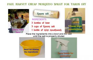 Homemade Paul Harvey Mosquito Spray for yard