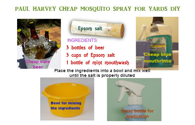 Mosquito repellent sprays diy for outdoor treatment