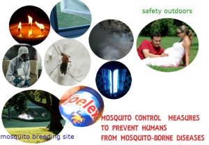 Mosquito control methods