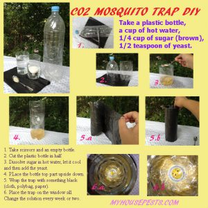DIY carbon dioxide mosquito trap