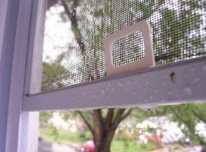 Mosquito window screen after rain